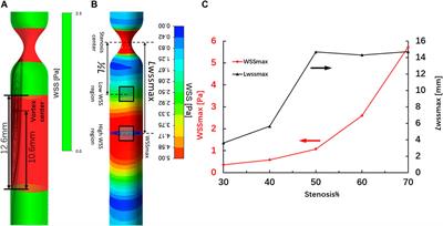 In Vitro Study of Endothelial Cell Morphology and Gene Expression in Response to Wall Shear Stress Induced by Arterial Stenosis